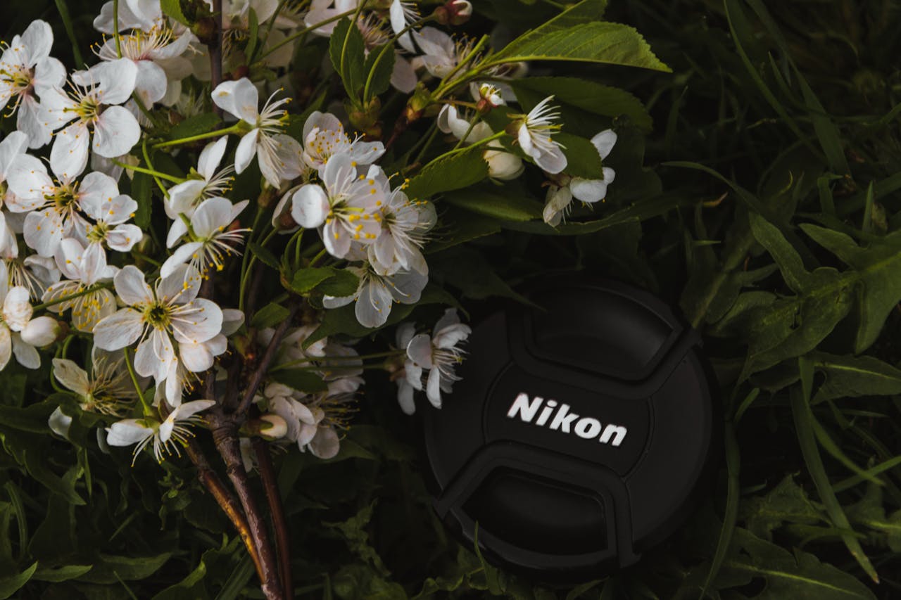 A close-up of cherry blossoms coupled with a Nikon lens cap, capturing a blend of nature and technology.